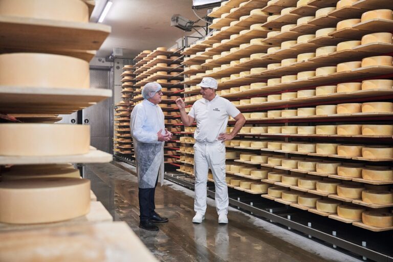 Press release cheese, 3