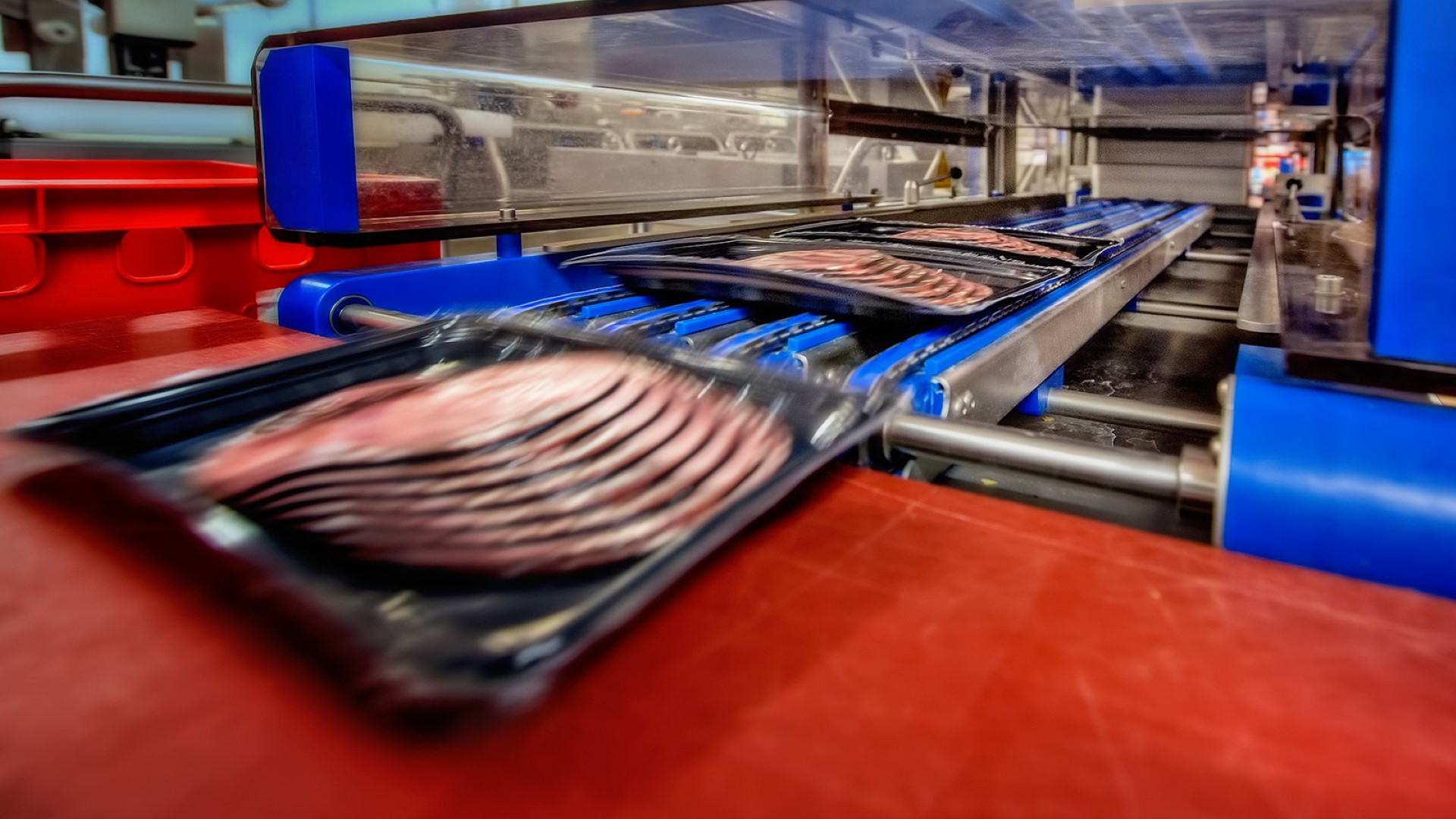 Testimonal processed meat