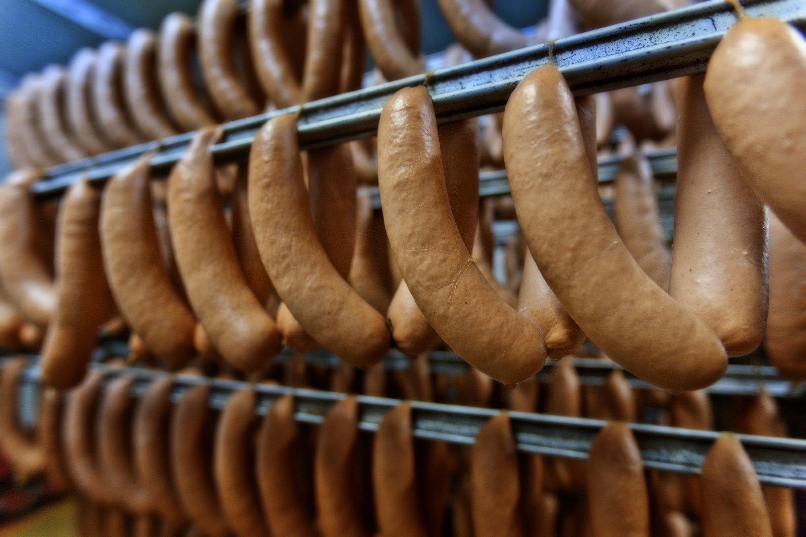 Testimonal processed meat