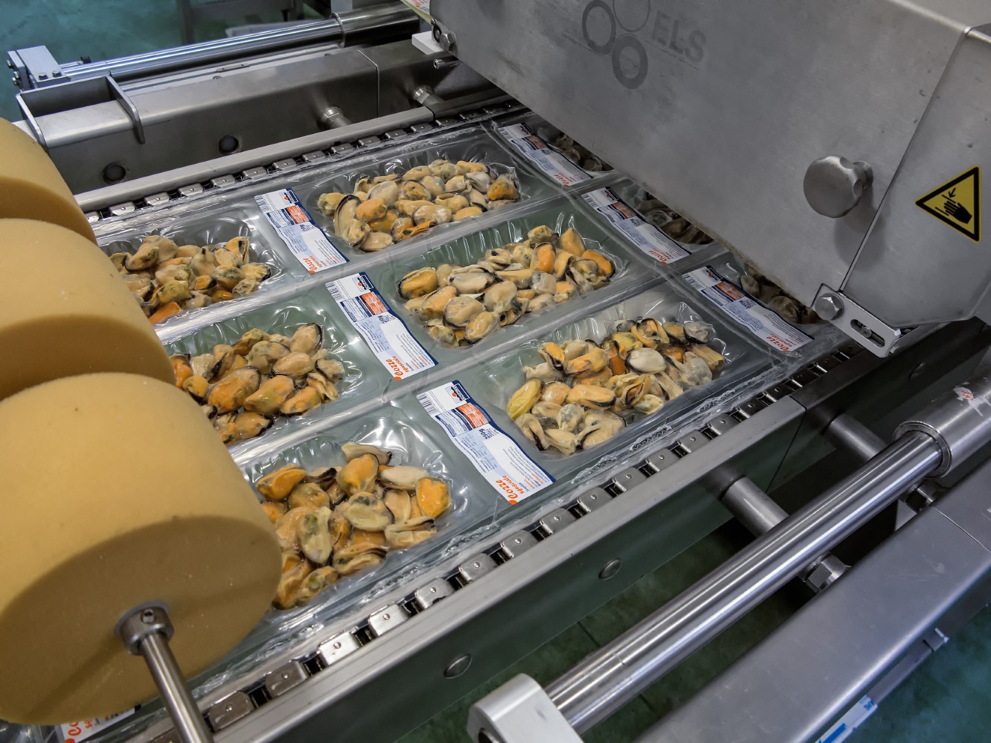 ThermoSkin seafood header