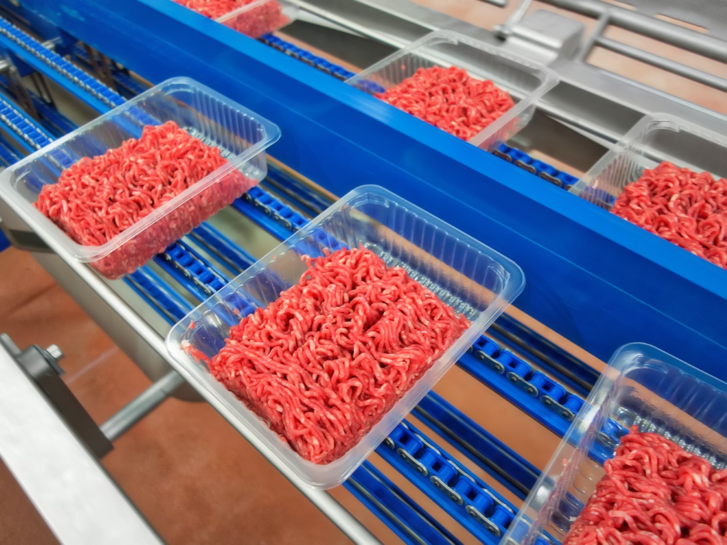 Testimonial fresh meat