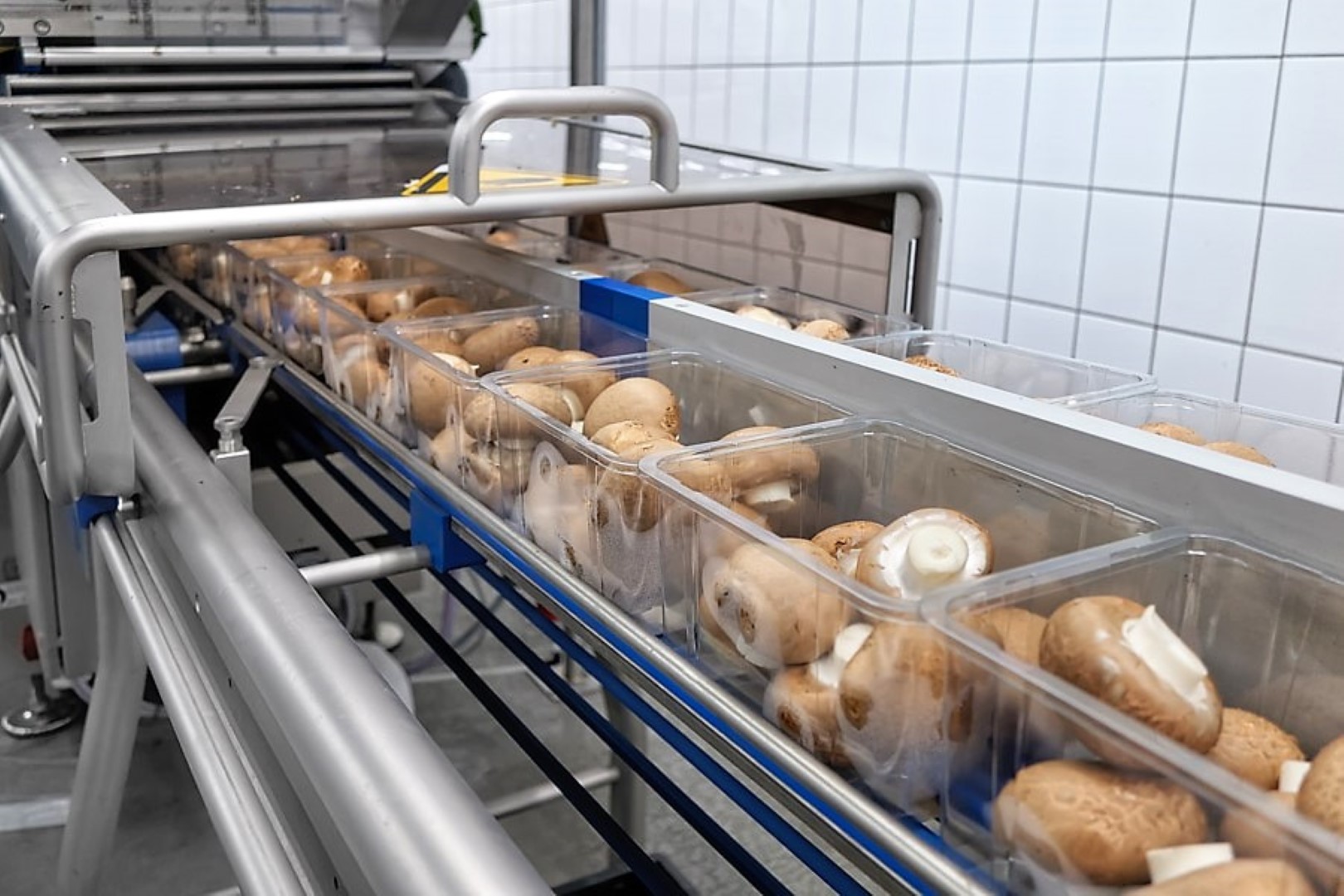 Testimonal fruit & vegetables