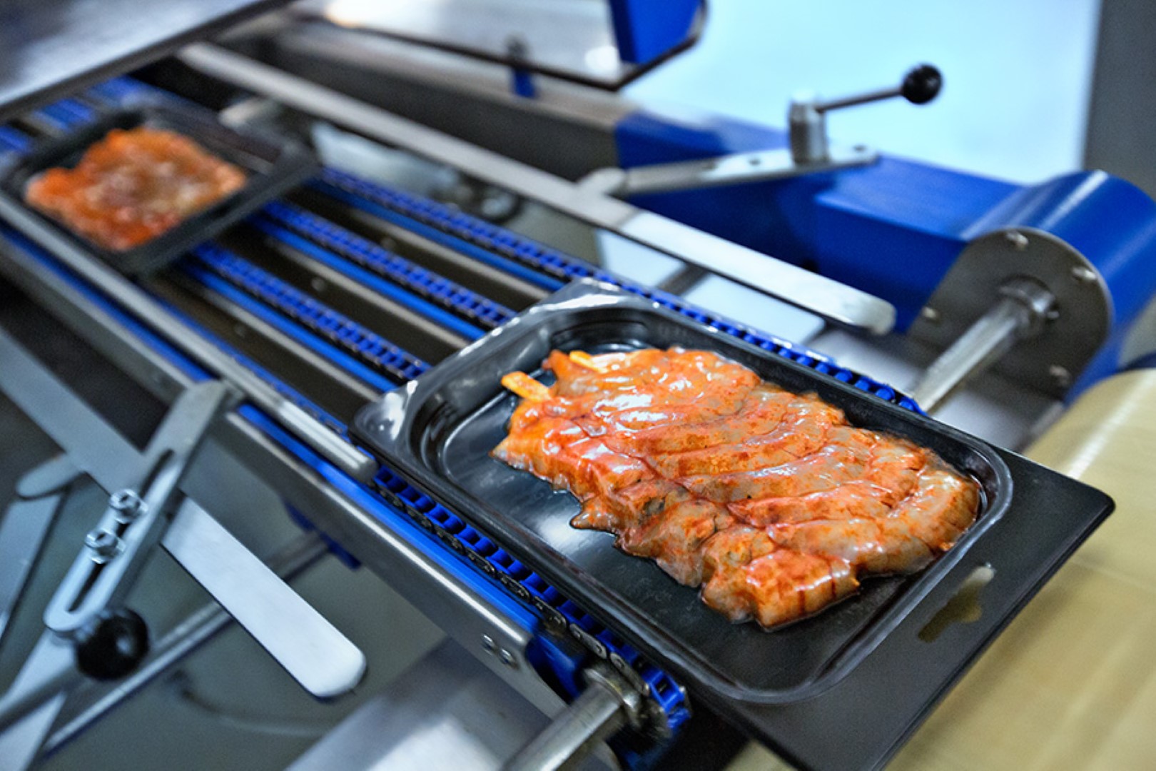 TraySkin seafood header