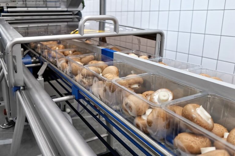 Testimonial fruit & vegetables